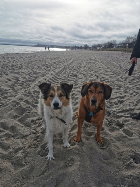 Spaziergang am Strand